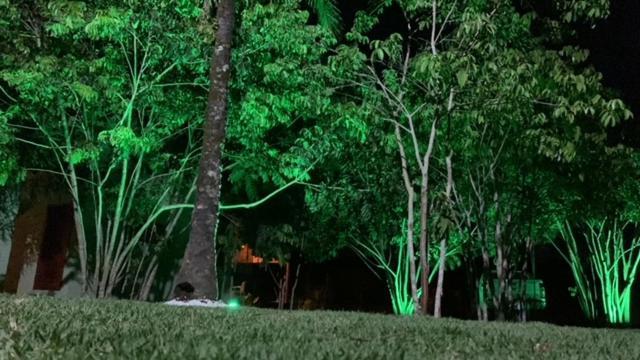 Bons Ventos Camping E Glamping Barra Grande  Exteriör bild